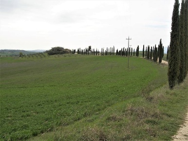 Foto Cessione attività a Asciano Centro con 1 locali in vendita