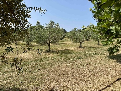 Foto Struttura sanitaria a Gavorrano di 80 m² con 2 locali in vendita