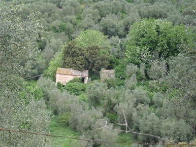 Foto Cessione attività a Grosseto Braccagni di 185 m² con 6 locali