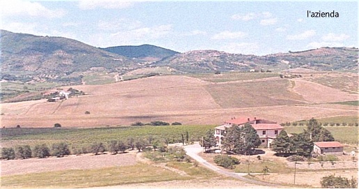Foto Cessione attività in MONTENERO VAL D'ORCIA COMUNE CASTEL DEL PIANO,