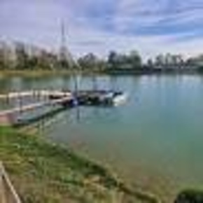 Foto Attività commerciale a Cascina Arnaccio - Chiesanuova in affitto