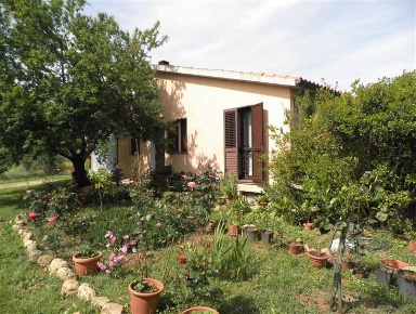 Foto Cessione attività a Cecina di 220 m² in vendita