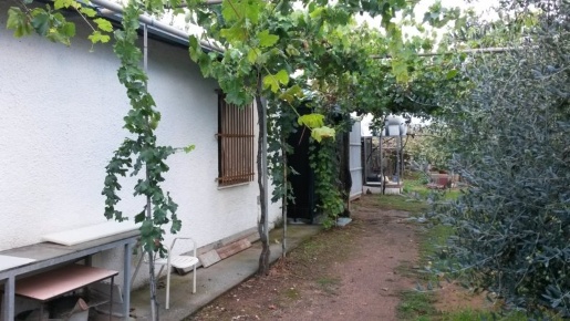 Foto Struttura sanitaria a Scarlino di 40 m² con 1 locali in vendita