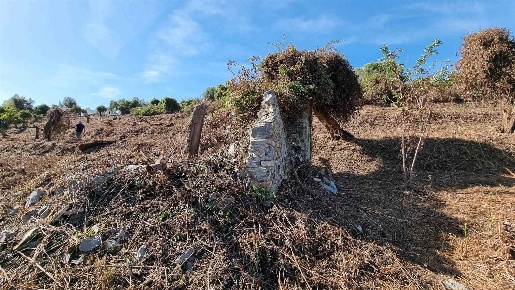 Foto Struttura sanitaria a Camaiore Camaiore Paese di 38 m² con 2 locali