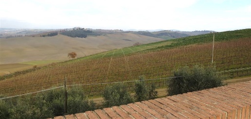 Foto Cessione attività a Montalcino di 1300 m² con 30 locali in vendita