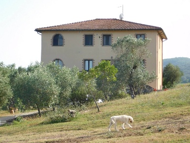 Foto Agriturismo a Civitella Paganico di 850 m² con 19 locali in vendita