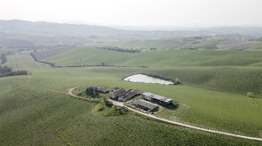 Foto Cessione attività a Belvedere Ostrense con 1 locali in vendita