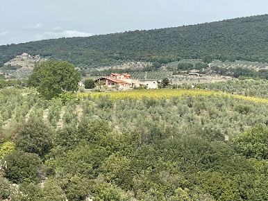 Foto Cessione attività a Montecchio Centro con 7 locali in vendita