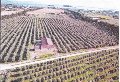 Foto Cessione attività a Passignano sul Trasimeno Centro di 480 m²