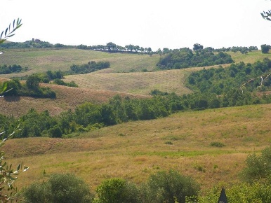 Foto Cessione attività a Torrita di Siena con 1 locali in vendita