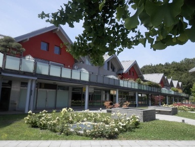 Foto Negozio in Via Nazionale  61, Puegnago del Garda Raffa di 90 m²
