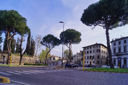 Foto Ufficio a Firenze D'Azeglio di 500 m² con 10 locali in affitto