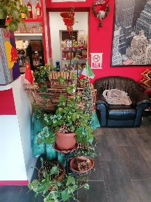 Foto Bar a Milano Tre Castelli - Faenza di 150 m² con 3 locali in vendita