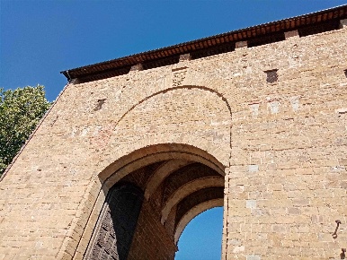 Foto Attività commerciale in Borgo San Frediano, Firenze San Frediano