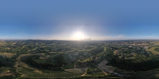 Foto Attività commerciale a Certaldo Pino in vendita