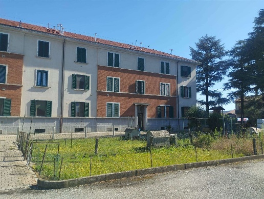 immagine annuncio 3 di 14
