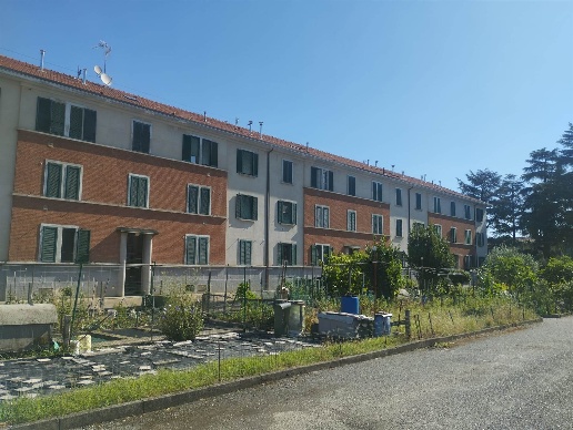 immagine annuncio 6 di 14