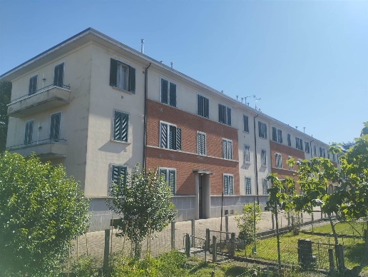 immagine annuncio 9 di 14