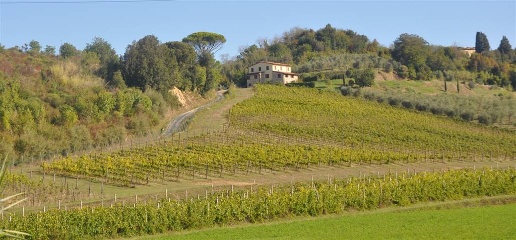 Foto Cessione attività a Casciana Terme Lari Lari di 530 m² con 16 locali