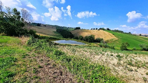 Foto Struttura sanitaria a Treia di 300 m² con 1 locali in vendita