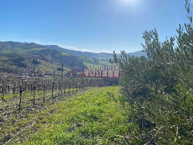 Foto Cessione attività in Via Sonsa, Bertinoro con 1 locali in vendita
