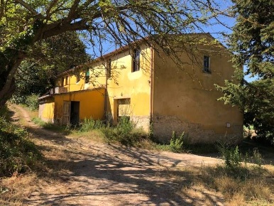 Foto Cessione attività a Crespina Lorenzana di 250 m² con 21 locali