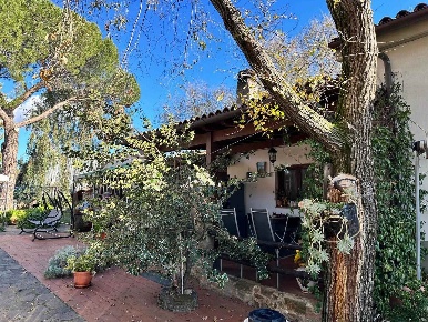 Foto Cessione attività a Roccastrada di 300 m² con 7 locali in vendita