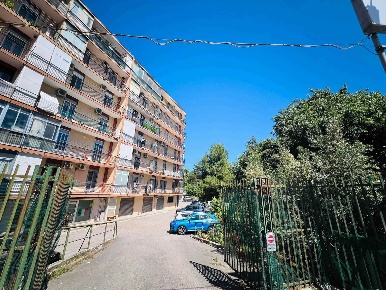 Foto Negozio in Via Omodeo  44/D, Bari San Pasquale di 118 m² con 3 locali