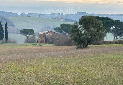 Foto Cessione attività a Castiglione del Lago Petrignano di 429 m²