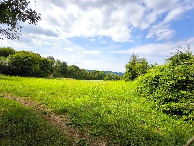 Foto Terreno agricolo a Revine Lago di 2575 m² in vendita