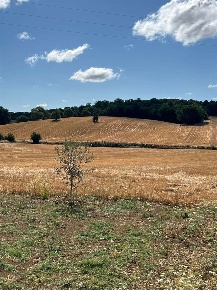 Foto Terreno agricolo in Bagnaia, Perugia Castel del Piano - Pila