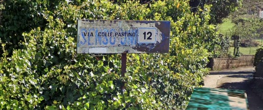 immagine annuncio 2 di 12
