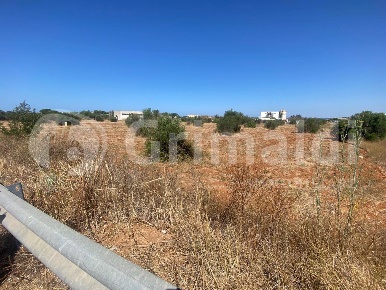 Foto Terreno agricolo in Strada provinciale 52 0, Gallipoli di 11637 m²