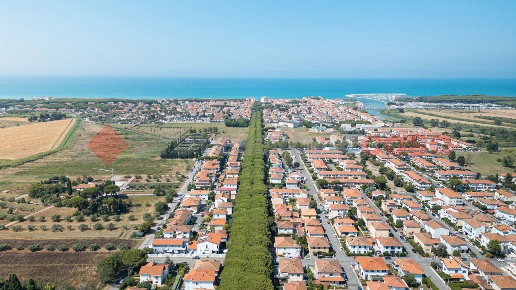 immagine annuncio 13 di 14