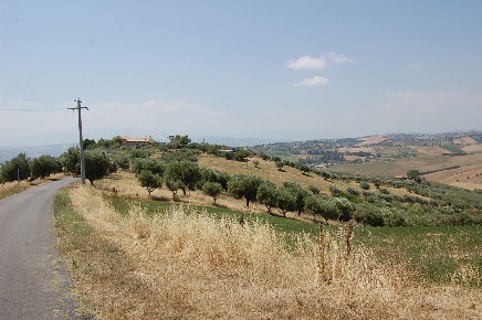 Foto Terreno agricolo a Morro d'Oro di 25000 m² in vendita