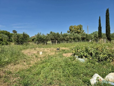 Foto Terreno agricolo in Via scansanese 198, Grosseto Mascagni - Saracina