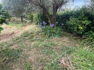Foto Terreno agricolo in Via San Giuseppe Vecchio 37, Massa Puliche