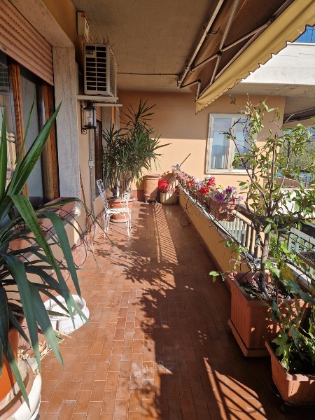 immagine annuncio 2 di 7