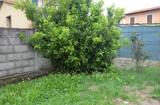 appartamento in vendita a Vecchiano