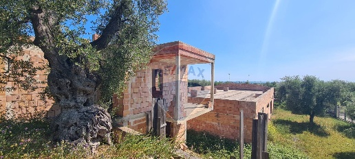 Foto Appartamento in Località Macchia di Mauro, Vieste di 1000 m²