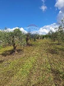 Foto Villa unifamiliare a Castel Campagnano Squille di 275 m² con 5 locali
