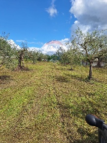 Foto Villa unifamiliare in Via Monticelli, Castel Campagnano Squille
