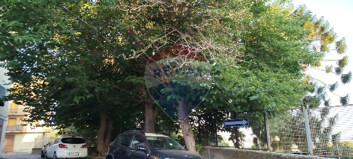 Foto Box in via zangri', Gravina di Catania Centro di 17 m² con 1 locali
