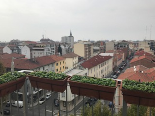 immagine annuncio 3 di 4