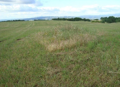 Foto Cessione attività a Orvieto con 10 locali in vendita