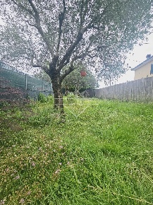 Foto Casa indipendente a Luni Casano Dogana Isola di 55 m² con 2 locali