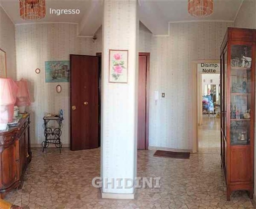 immagine annuncio 6 di 13