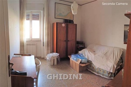 immagine annuncio 8 di 13
