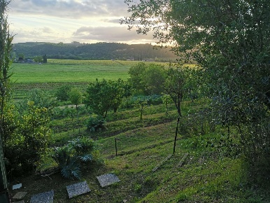 Foto Terreno agricolo a Poggibonsi di 3500 m² in vendita