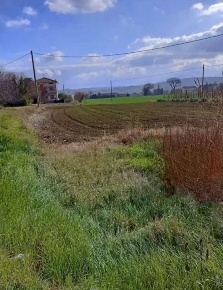 Foto Terreno edificabile in Via della Liberazione, Cartoceto di 2050 m²